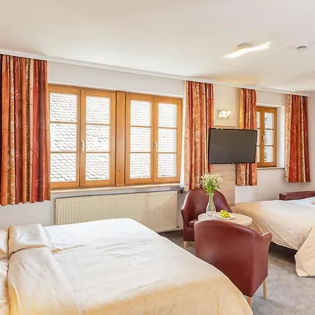 Altes Brauhaus Garni Hotel 4*